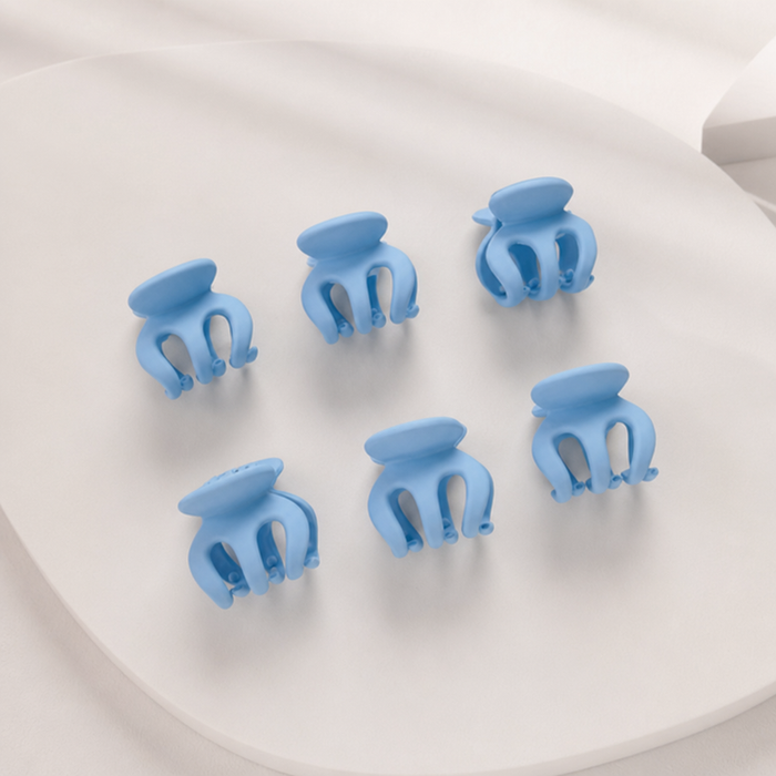 Mini Claw Hair Clip Set – Vefash
