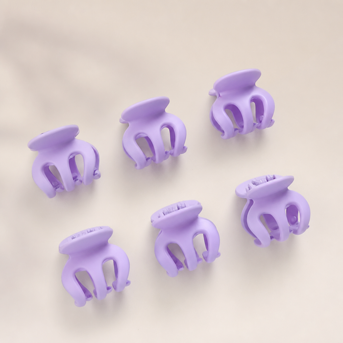 Mini Claw Hair Clip Set – Vefash