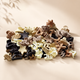 Beige Small Hair Clips – Haarklammer