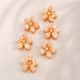 Kinder Mini Claw Clips Set – Haarklammer