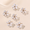 Kinder Mini Claw Clips Set von vefash – Haarklammern, Draufsicht 12