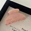 pink claw on white background 